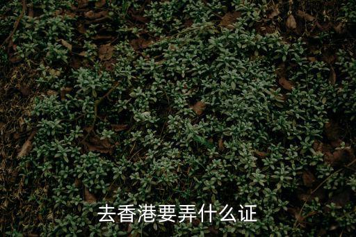 去香港要弄什么證