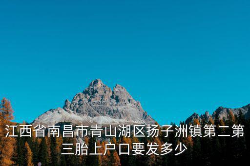 江西省南昌市青山湖區揚子洲鎮第二第三胎上戶口要發多少