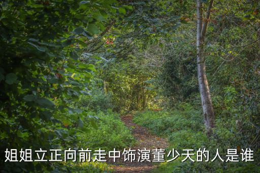 姐姐立正向前走中飾演董少天的人是誰