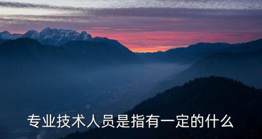 專業技術人員是指有一定的什么