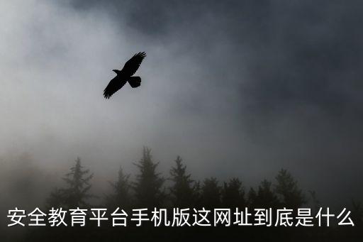 安全教育平臺手機版這網址到底是什么