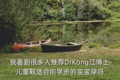 江博士童鞋，我看到很多人推薦DrKong江博士兒童鞋適合剛學步的寶寶穿嗎