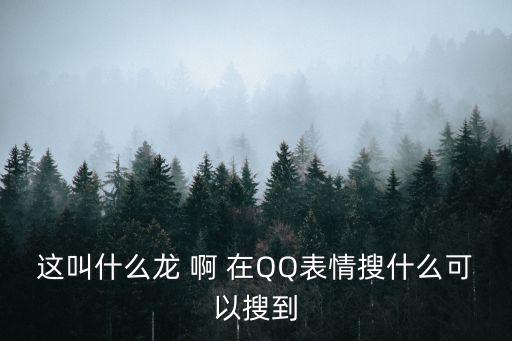 龍圖表情包，這叫什么龍 啊 在QQ表情搜什么可以搜到