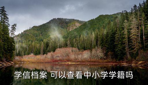學信檔案 可以查看中小學學籍嗎