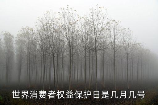 國際消費者權益日，今天是第幾個國際消費者權益日