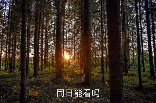 同日能看嗎