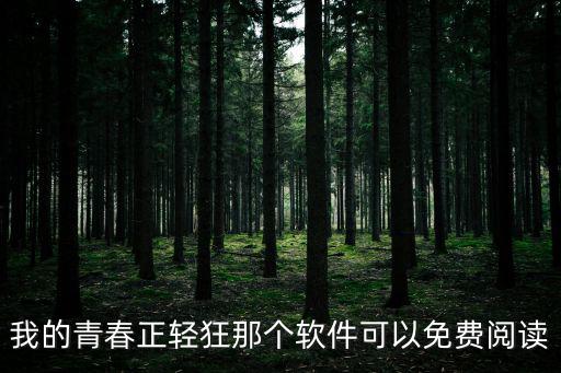 我的青春正輕狂那個軟件可以免費閱讀
