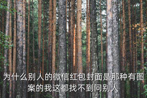 為什么別人的微信紅包封面是那種有圖案的我這都找不到問(wèn)別人