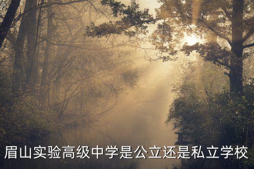 實驗高中，實驗高中呂丁學去了哪里