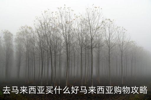 去馬來西亞買什么好馬來西亞購物攻略