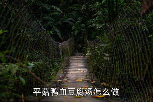 平菇鴨血豆腐湯怎么做