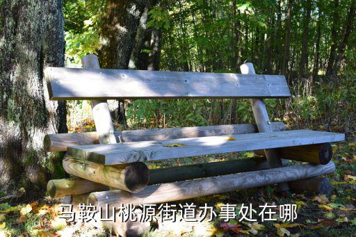馬鞍山桃源街道辦事處在哪