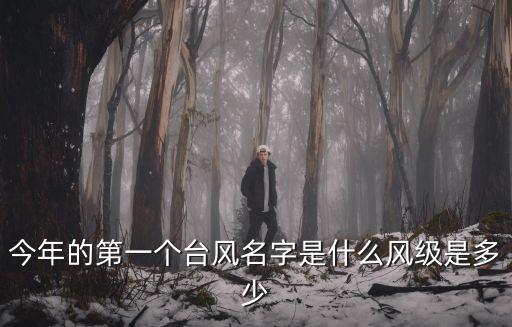 今年的第一個(gè)臺(tái)風(fēng)名字是什么風(fēng)級(jí)是多少