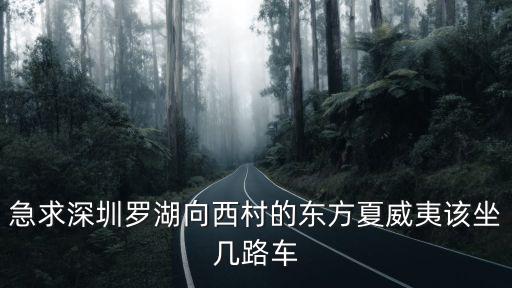 急求深圳羅湖向西村的東方夏威夷該坐幾路車
