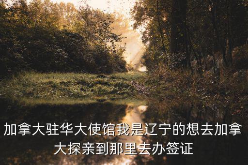 加拿大駐華大使館我是遼寧的想去加拿大探親到那里去辦簽證