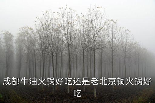 成都牛油火鍋好吃還是老北京銅火鍋好吃