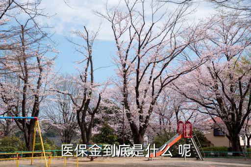 醫保金到底是什么 呢