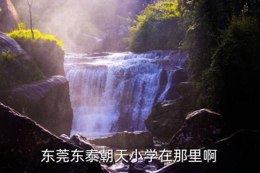 東莞東泰朝天小學(xué)在那里啊
