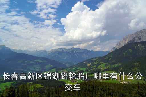 長春高新區錦湖路輪胎廠哪里有什么公交車