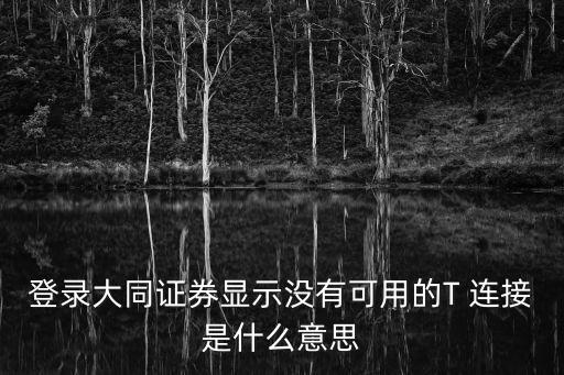 登錄大同證券顯示沒有可用的T 連接是什么意思