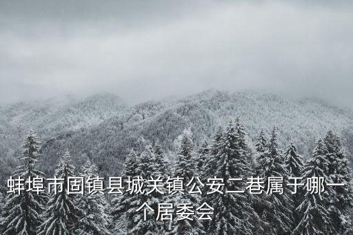 蚌埠市固鎮縣城關鎮公安二巷屬于哪一個居委會