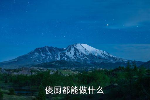 傻廚都能做什么