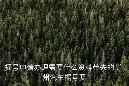 搖號申請辦理需要什么資料帶去的 廣州汽車搖號要