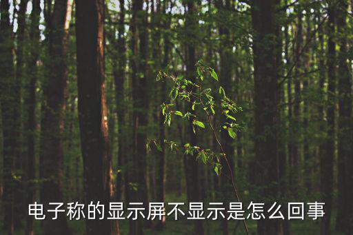 不顯示，電子稱的顯示屏不顯示是怎么回事