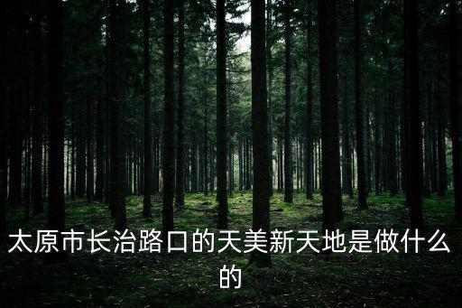 太原市長治路口的天美新天地是做什么的