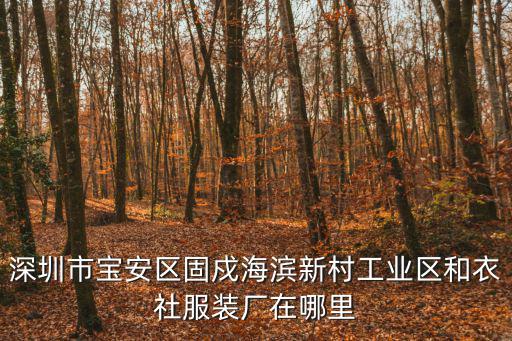 海濱新村，海濱新村屬于哪個街道