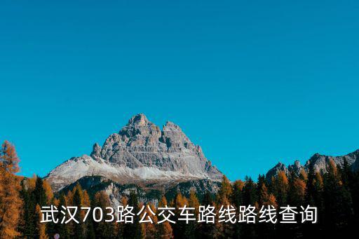 703路公交車路線，西安703公交在鐘樓哪塊坐