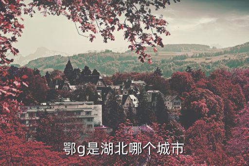 鄂g是湖北哪個(gè)城市