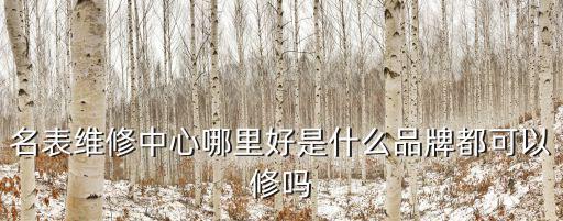 名表維修中心，請問深圳哪里有名表維修中心具體地址在哪怎么坐車