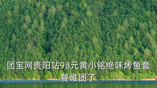 烤魚團購，團寶網貴陽站98元黃小銘絕味烤魚套餐誰團了
