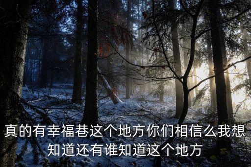 幸福巷，漯河幸福巷的位置