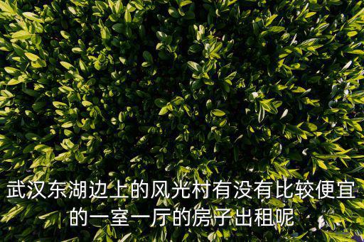 武漢東湖邊上的風光村有沒有比較便宜的一室一廳的房子出租呢