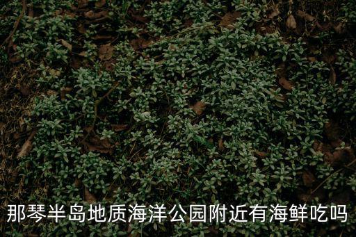 那琴半島地質海洋公園附近有海鮮吃嗎