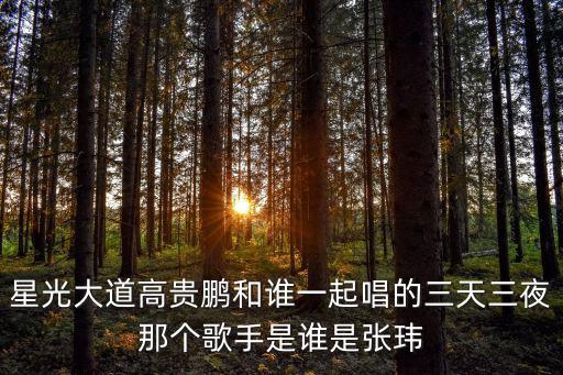 高貴鵬，星光大道高貴鵬和誰一起唱的三天三夜那個歌手是誰是張瑋