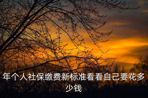 年個(gè)人社保繳費(fèi)新標(biāo)準(zhǔn)看看自己要花多少錢(qián)