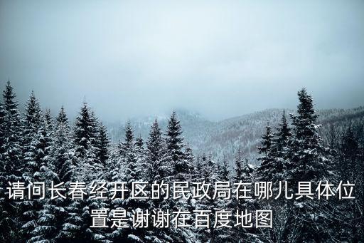 請問長春經(jīng)開區(qū)的民政局在哪兒具體位置是謝謝在百度地圖