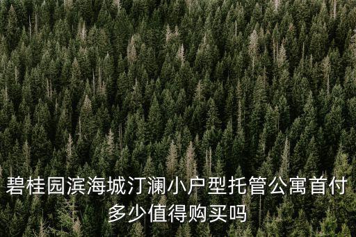碧桂園濱海城汀瀾小戶型托管公寓首付多少值得購買嗎