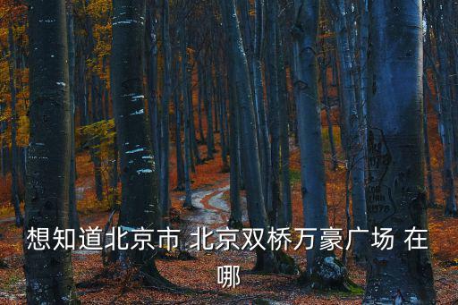 想知道北京市 北京雙橋萬豪廣場 在哪