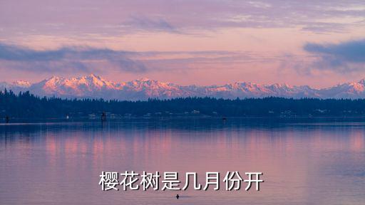 櫻花樹是幾月份開