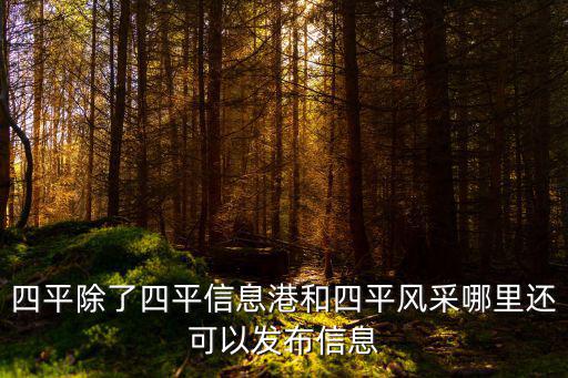 四平除了四平信息港和四平風采哪里還可以發布信息