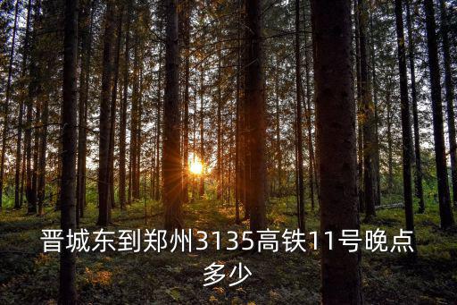 晉城東到鄭州3135高鐵11號晚點多少