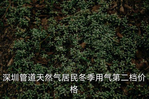 深圳管道天然氣居民冬季用氣第二檔價格