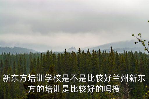 新東方培訓學校是不是比較好蘭州新東方的培訓是比較好的嗎搜