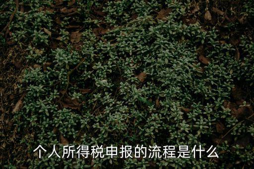 個人所得稅申報的流程是什么