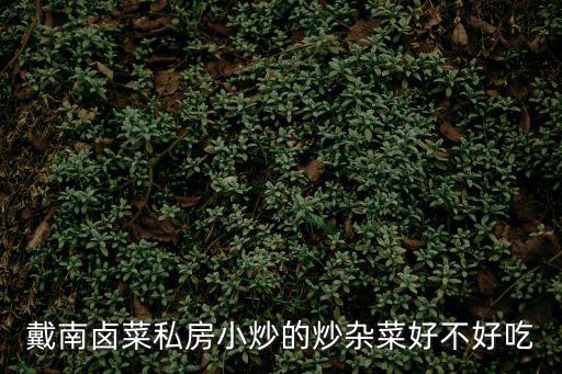 戴南鹵菜私房小炒的炒雜菜好不好吃