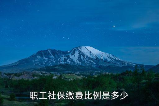 職工社保繳費比例，職工保險繳費比例